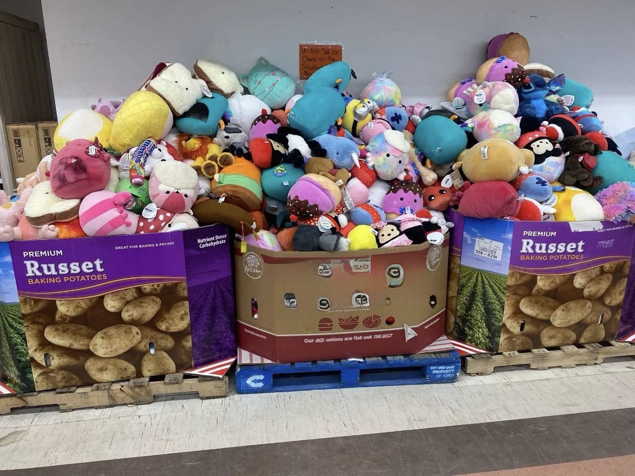 Squishmallow Pallet - Image 2